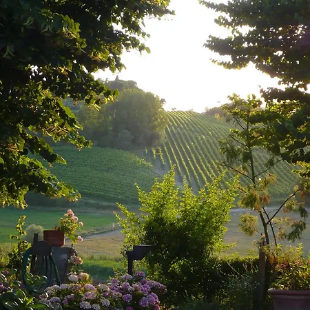 Podere Sionne