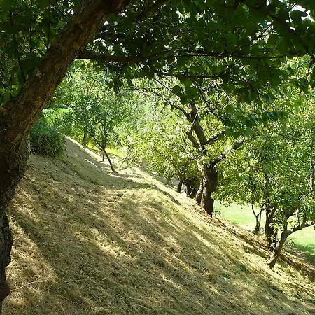 Εξοχικό σπίτι Podere Sionne Κιούζι