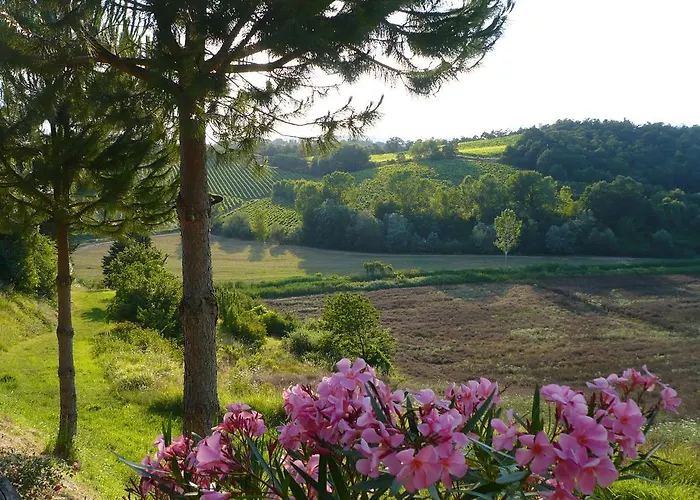 乡村民宿 托斯卡纳全景农场别墅 丘西